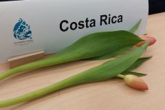 cop15-071222-06