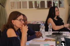 Participants pay attention during a presentation.