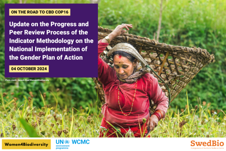 Gender Policy Development Process INFORMATION SESSIONS: Update on the progress and peer review process of ...