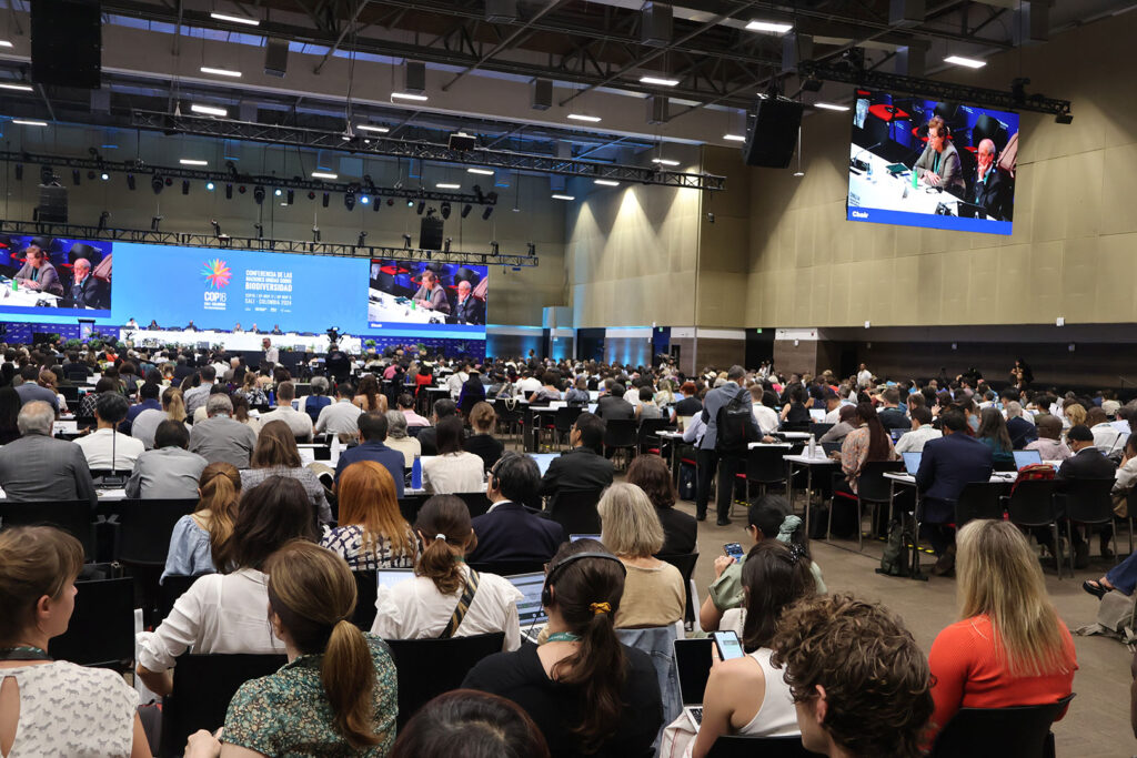 7-The-opening-plenary-session-of-COP16