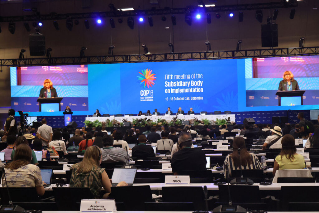 9-The-Plenary-Session-of-SBI-5