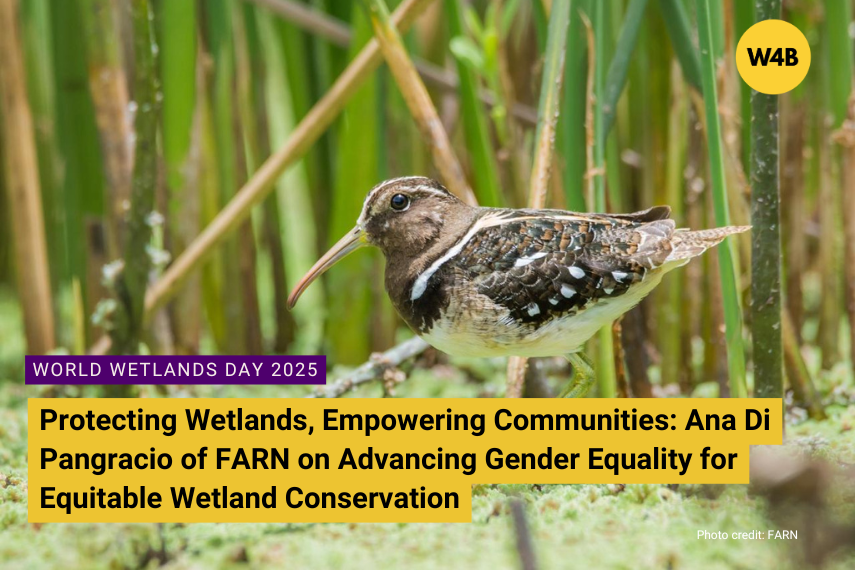 World Wetlands Day Blog Post Cover