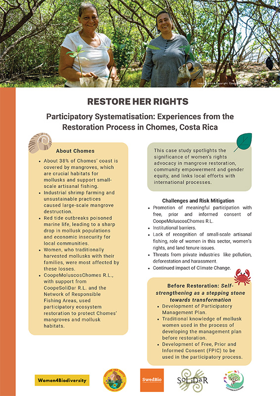 C-Costa-Rica-Case-Study-in-Brief-1