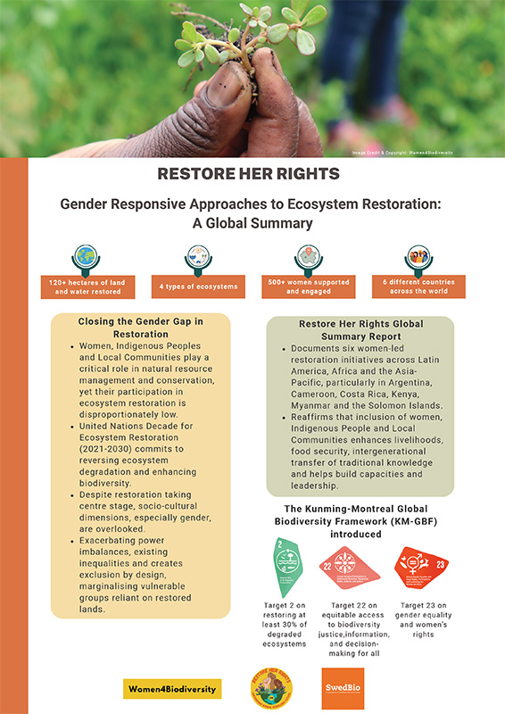 C-Restore-Her-Rights-Global-Summary-in-Brief-1