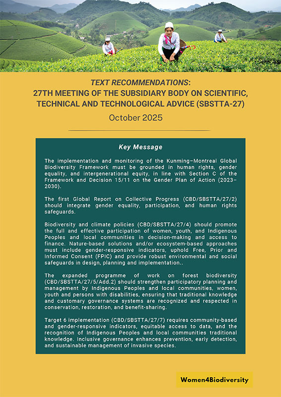 Text-Recommendations-for-the-27th-meeting-of-the-Subsidiary-Body-on-Scientific,-Technical-and-Technological-Advice-20-Oct-1