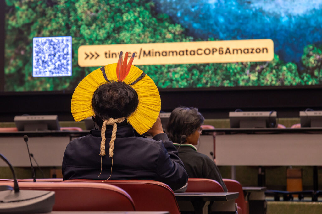 Minamata-COP6-01