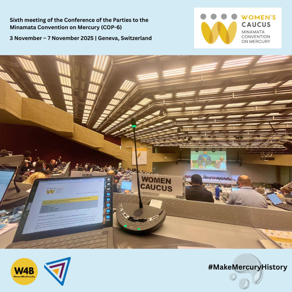 Minamata-COP6-05