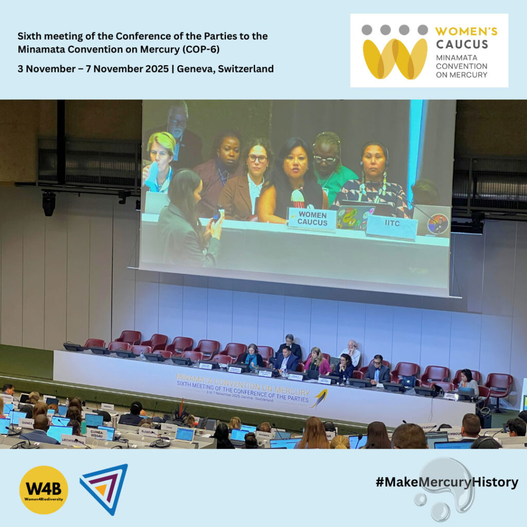 Minamata-COP6-06