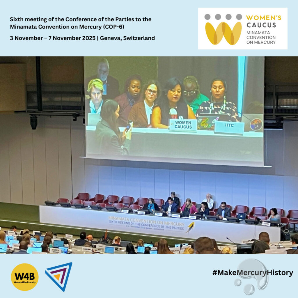 Minamata-COP6-07
