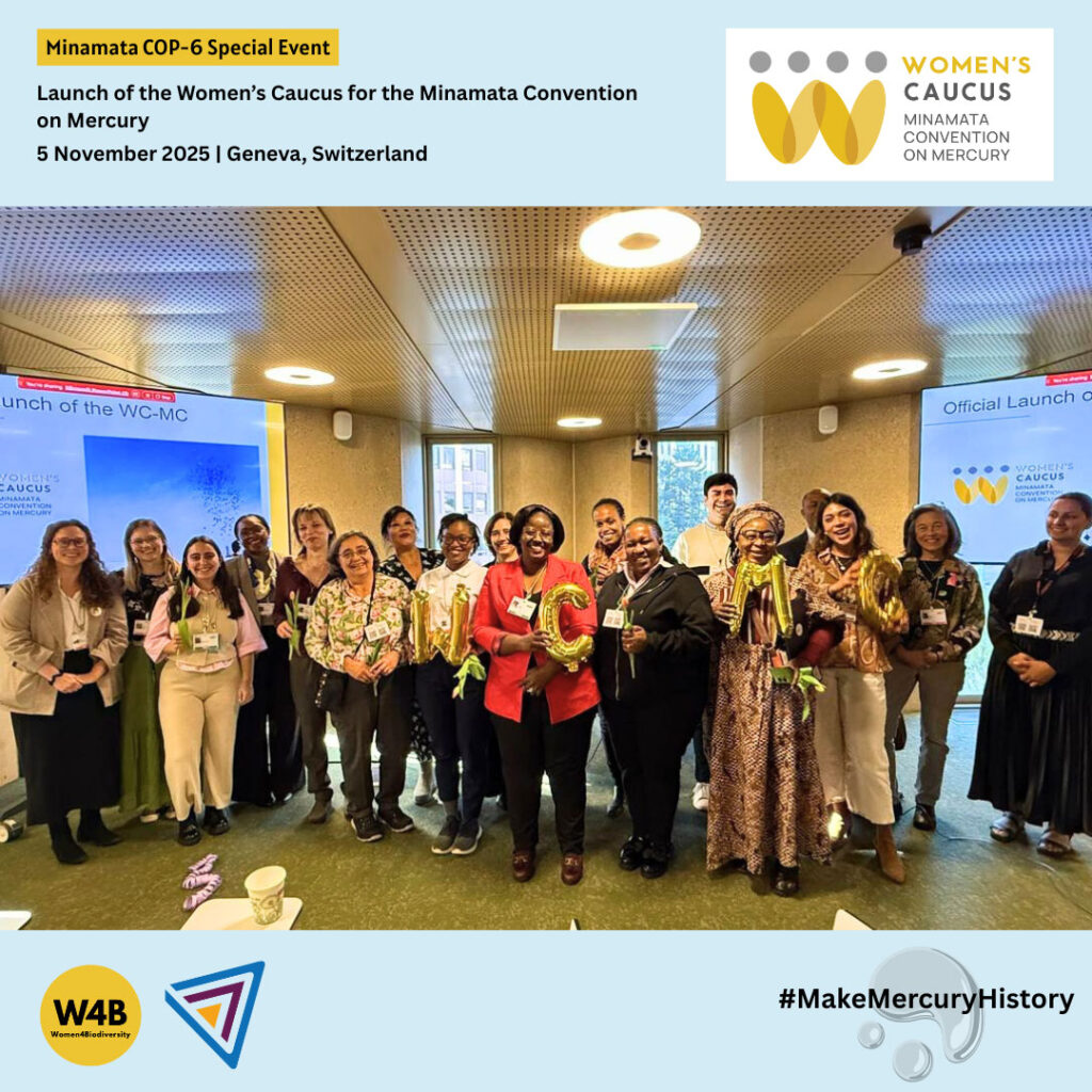 Minamata-COP6-10
