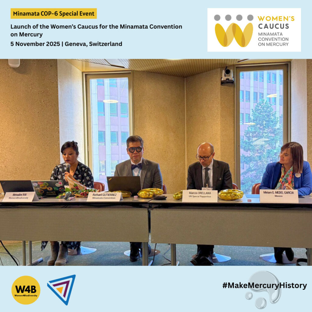 Minamata-COP6-11