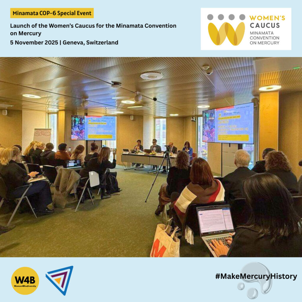 Minamata-COP6-12