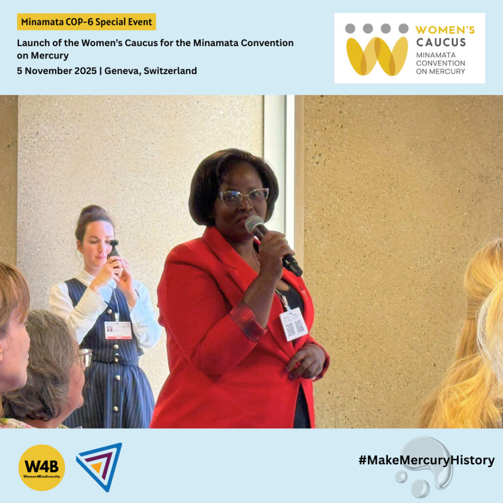 Minamata-COP6-13