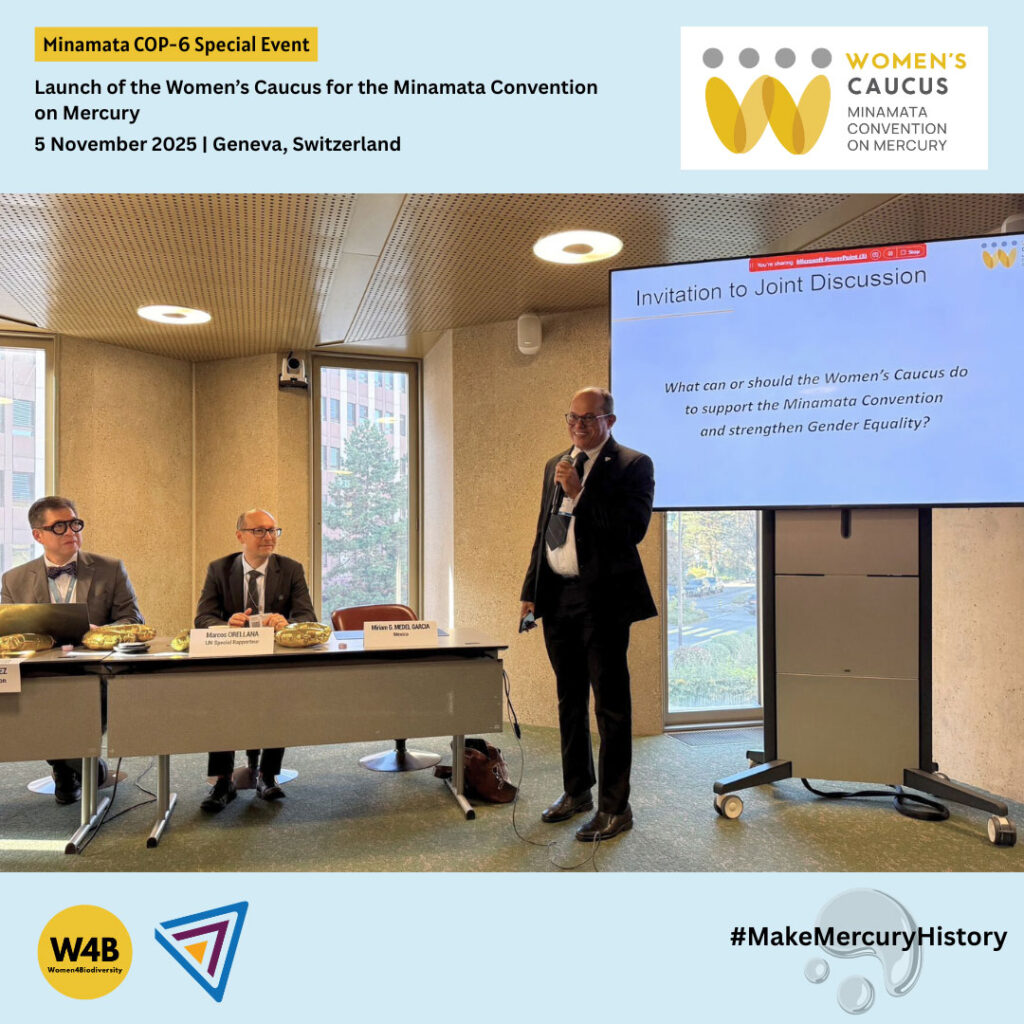 Minamata-COP6-15