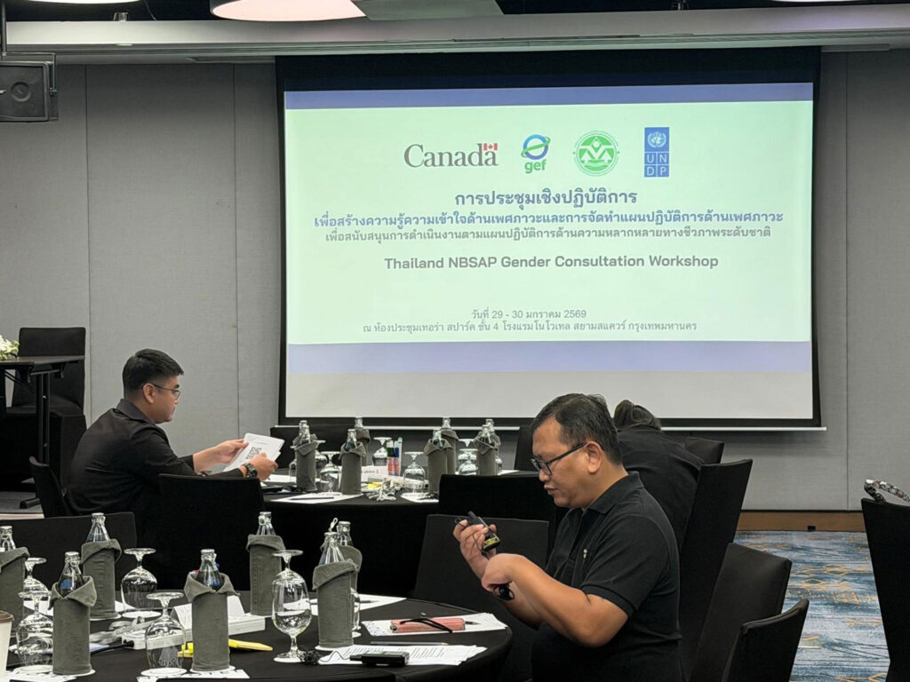 13_WhatsApp-Image-2026-01-29-at-7