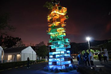 The Biodiversity Jenga by Benjamin Von Wong