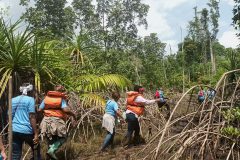 Walking to the restoration site